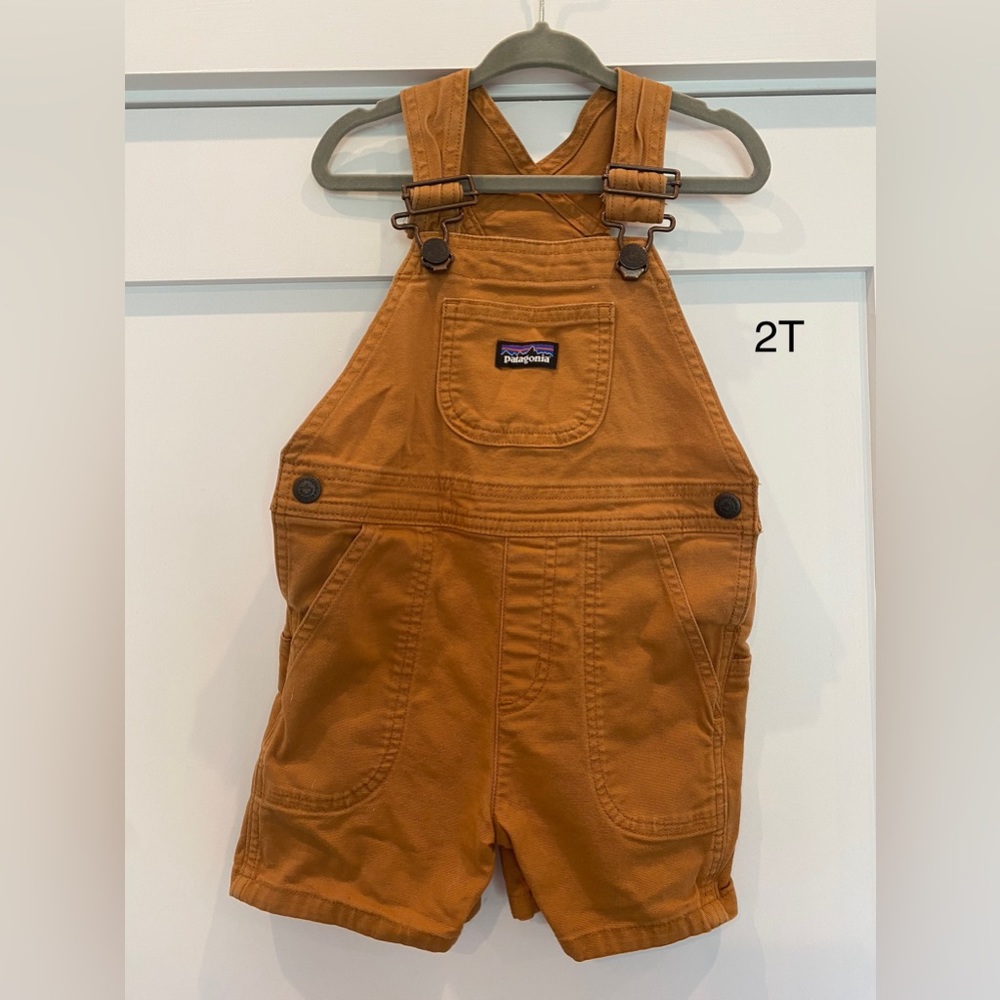 Patagonia Toddler Overall Shorts